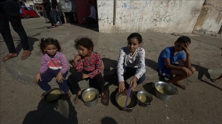 70 rêxsitinên hiqûqê daxwaza ragehandina xelayê li zîvala Xezyê kirin