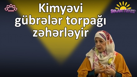 Təsəlli üçün hansı sözləri deyək?