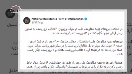 جبهه مقاومت ملی از کشته شدن چهار طالب در هرات و پروان خبر داد
