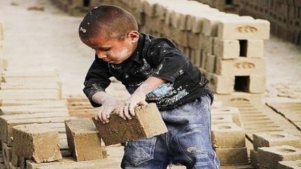 افزایش ۳۸ فیصدی کودکان کار در افغانستان