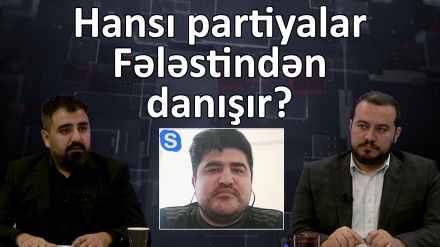 Hansı partiyalar Fələstindən danışır?