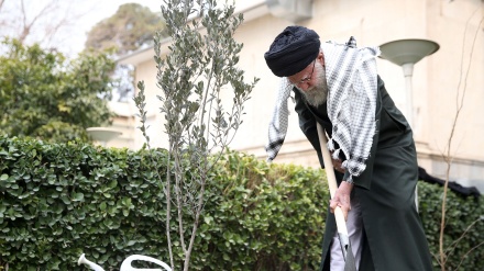 Ajetullah Hamenei posadio drvo masline odajući počast palestinskom otporu