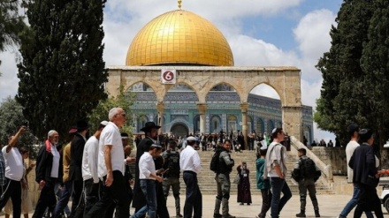 ہزاروں فلسطینیوں نے مسجد الاقصیٰ میں نماز جمعہ ادا کی 