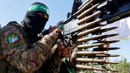 Palestinski otpor nanio velike gubitke cionistima