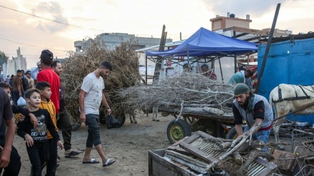 Xezeyî dewsa gazê êzingan dişewitînin
