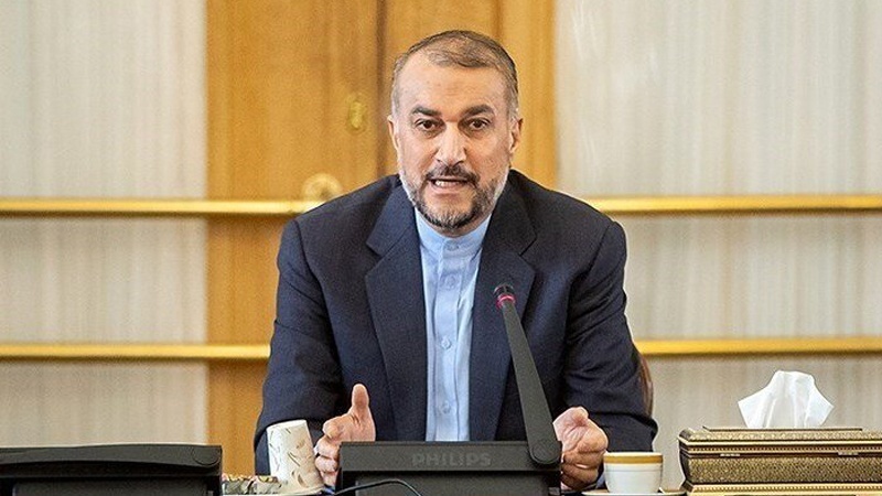 فلسطین اسلامی دنیا کا اولین مسئلہ ہے،  وزیر خارجہ ایران  