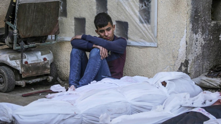 Broj palestinskih šehida prešao 32 hiljade