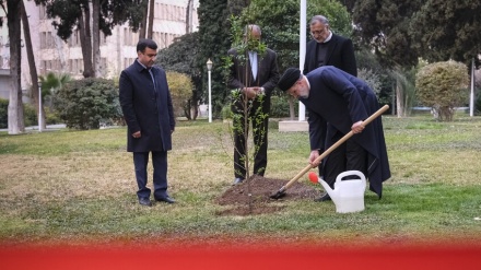 Iranski predsjednik zasadio sadnicu