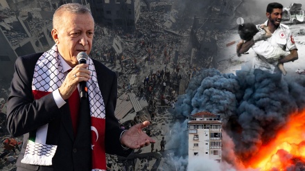 Stav i pozicija Turske prema izraelskoj agresiji na Gazu