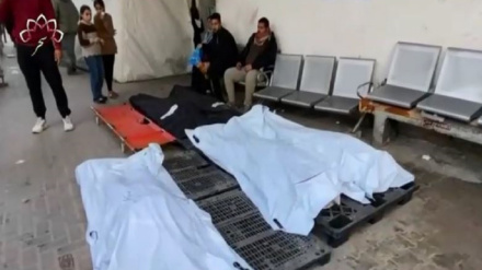 پہلا بلیٹن،بدھ 13 مارچ