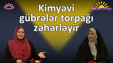 Kimyəvi gübrələr torpağı zəhərləyir