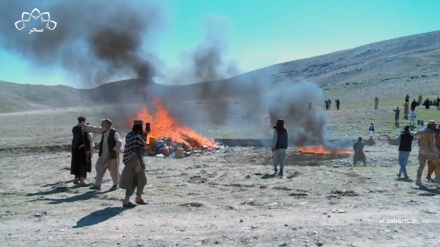 سوزاندن 3 هزار کیلو موادمخدر در کابل