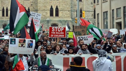 فلسطین کی حمایت میں امریکی یونیورسٹیوں کی طلبا تحریک کا دائرہ مزید پھیل گيا 