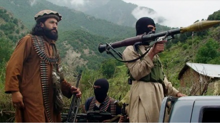 خواست پاکستان برای برخورد با تی تی پی مانند داعش