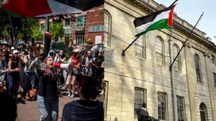 ہارورڈ یونیورسٹی میں امریکی پرچم ہٹا کر فلسطین کا  پرچم لہرایا گيا