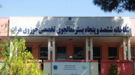 افزایش خدمات درمانی در هرات 