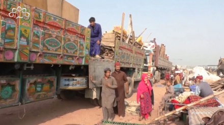 دولت پاکستان: مرحله دوم اخراج مهاجرین افغانستانی آغاز می شود
