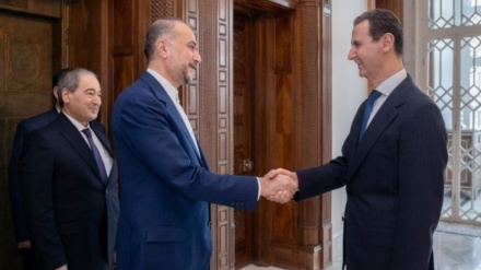 شام کے صدر اور ایران کے وزیر خارجہ کی ملاقات (ویڈیو) 