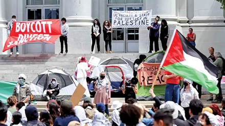 ادامه تظاهرات دانشجویان آمریکا در حمایت از فلسطین