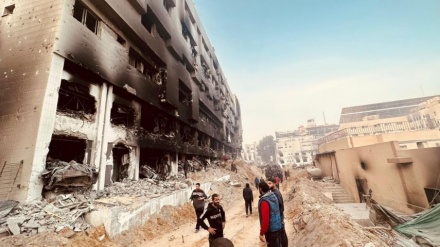 شەهیدبوونی نزیکەی ٣٠٠ کەس لە نەخۆشخانەی شیفا و لەداردانی مەیدانیی فەلەستینیە کۆتو بەندکراوەکان