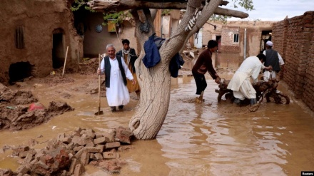 جان باختن 8 نفر بر اثر بارندگی و سیلاب ها در ولایت های کشور