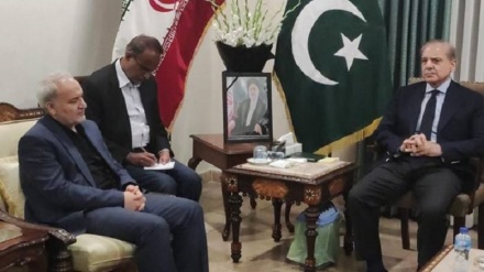 پاکستانی وزیر اعظم نے ایرانی سفارتخانے پہنچ کر سفیر ایران کو تعزیت پیش کی