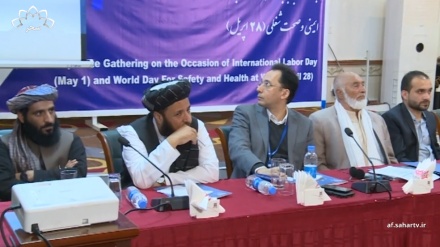 برگزاری نشست بررسی چالش ها و راهکار های شغلی در کابل