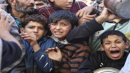  اقوام متحدہ: شمالی غزہ کی پٹی میں قحط قریب ہے / رفح کے رہائشی جہنم میں زندگی گزار رہے ہیں  