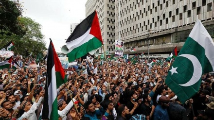 غزہ کی حمایت میں پاکستان کے مختلف شہروں اور علاقوں میں بڑی بڑی ریلیاں