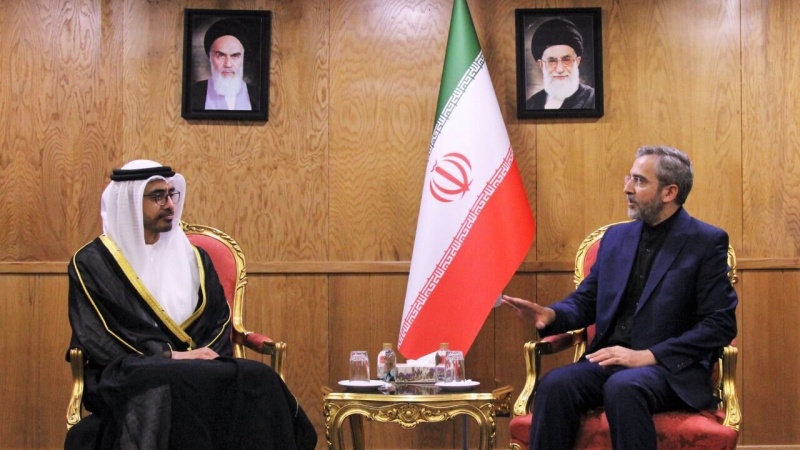 علی باقری سے متحدہ عرب امارات کے وزیر خارجہ کی ملاقات