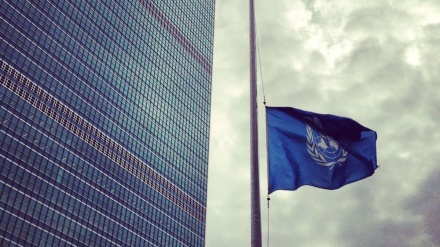 شہداء خدمت کے اعزاز میں اقوام متحدہ کا پرچم سرنگوں کر دیا گیا۔