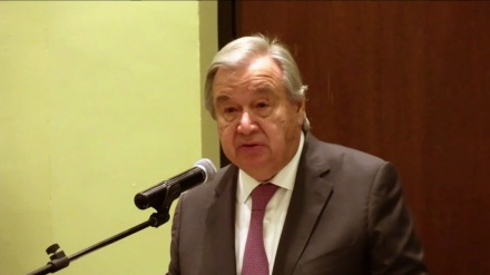 Bertekên berfireh ên navneteweyî li hember cinayetên Rejîma Siyonîst li Refehê