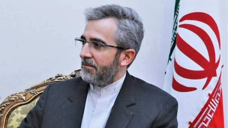 Əli Baqiri: Bu, Tehranın strateji siyasətidir