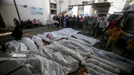 غزہ اور مغربی کنارے کے مختلف علاقوں پر صیہونی فوج کے تازہ حملوں میں کم از کم دس فلسطینی شہید 
