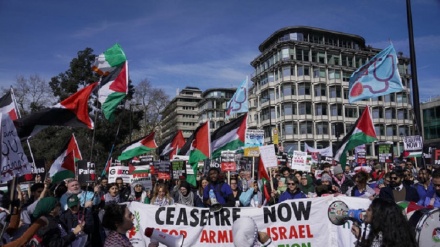 تل ابیب، واشنگٹن ، نیویارک اور دنیا کے دیگر خطوں میں بھی اسرائیل مخالف مظاہرے