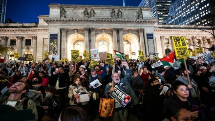 نیویارک میں فلسطین کے حق میں ہونے والے مظاہروں نے عالمی ریکارڈ قائم کردیا، جانئے کتنے ہزار مظاہرے ہوئے