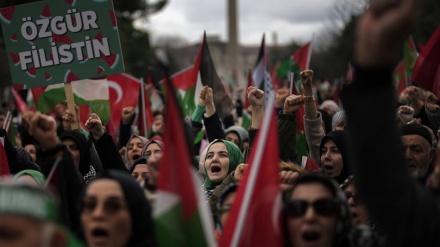فلسطینیوں کے ساتھ اظہار یکجہتی کا سلسلہ جاری