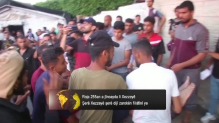 Roja 255an a jînoayda li Xezzeyê Şerê Xezzeyê şerê dijî zarokên filistînî ye