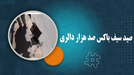 صید سیف باکس صد هزار دالری