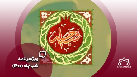 سبحان حسینی 