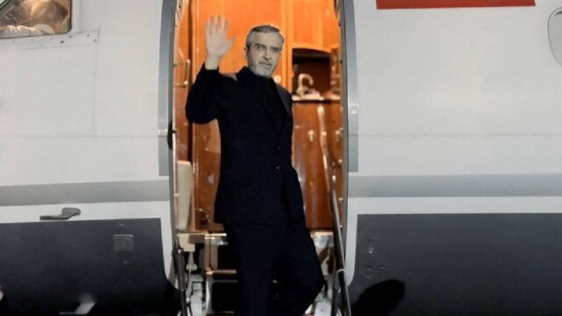 Əli Baqiri Kəni BRICS iclasında iştirak etmək üçün Rusiyaya gedib