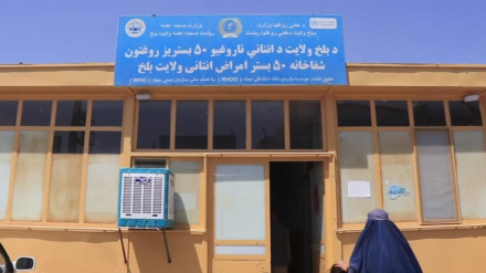 افزایش شمار بیماران مبتلا به تب کانگو