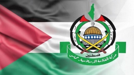 سلامتی کونسل میں جنگ بندی کی قرار داد حماس نے کیا خیر مقدم
