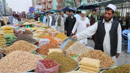 آمادگی شهروندان هرات برای تجلیل از عید سعید قربان 