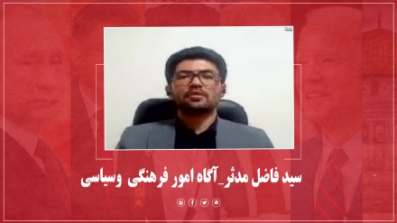 سید فاضل مدثر_آگاه امور فرهنگی  وسیاسی 