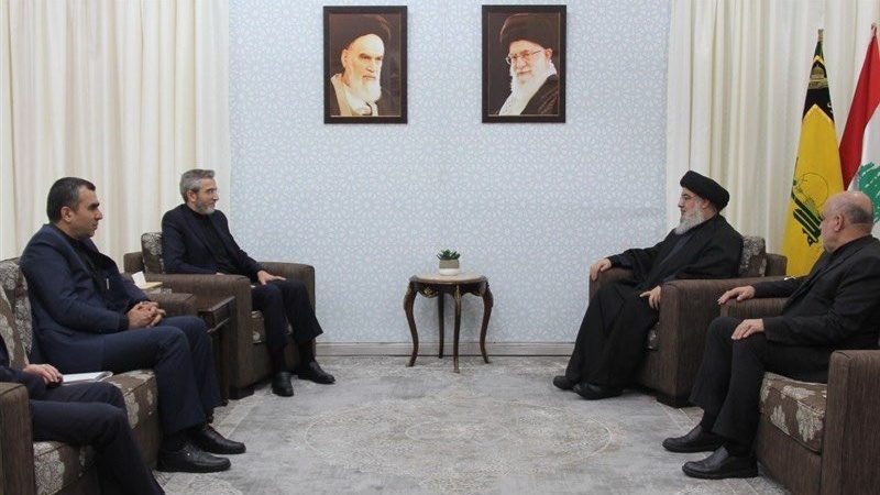 İranın xarici işlər naziri vəzifəsinin icraçısı Seyid Həsən Nəsrullah ilə görüşüb