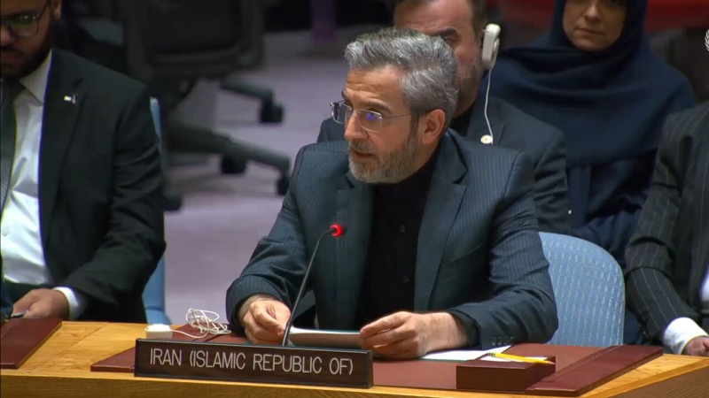 Iran pozvao Vijeće sigurnosti UN-a da okonča genocid u Gazi