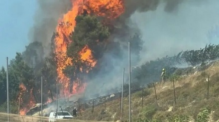 شارۆچکەنشینانی زایۆنی، سەرزەوینی فەلەستینیەکانیان لە ڕامەڵڵا ئاگر تێبەردا