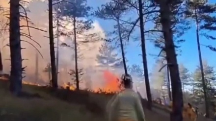 Berfirehbûna agir li daristanên Izmîrê