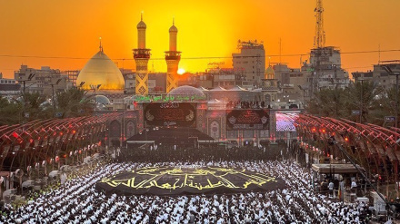 Gotovo 22 miliona muslimana obilježili Erbein na Kerbeli